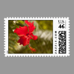 Red Hibiscus Stamp stamps
