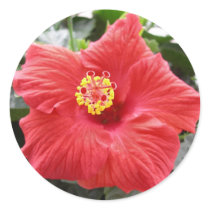 Red Hibiscus sticker by bkang22 Red Hibiscus sticker