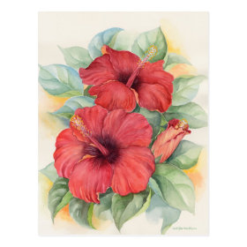 Red Hibiscus Tropical Flower Painting - Multi Postcard