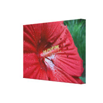 Red Hibiscus With Raindrops canvas prints