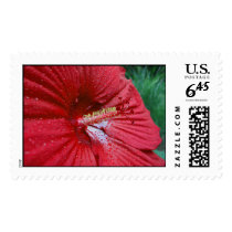 Red Hibiscus With Raindrops – Large stamps
