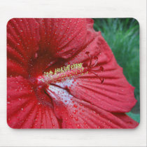 Red Hibiscus With Raindrops mousepads