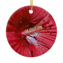 Red Hibiscus With Raindrops ornaments