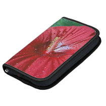 Red Hibiscus With Raindrops planners