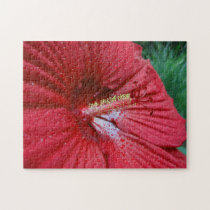 Red Hibiscus With Raindrops puzzles