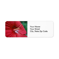 Red Hibiscus With Raindrops return address label labels
