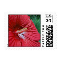 Red Hibiscus With Raindrops – Small stamps