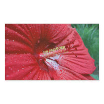 Red Hibiscus With Raindrops stickers