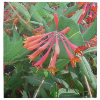 Red Honeysuckle American MoJo Napkins mojo_napkin