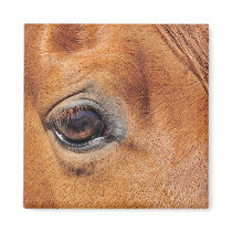 Red Horse Eye magnets by horse_designs Red Horse Eye magnets