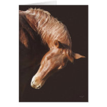 Red Horse Gifts cards