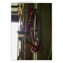 Red Horse Halter cards by DiEtte Red Horse Halter cards