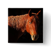 Red Horse II Gifts Pinback Button
