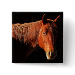 Red Horse II Gifts Pinback Button