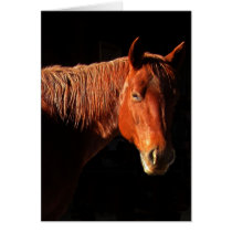 Red Horse II Gifts cards