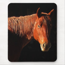 Red Horse II Gifts mousepads