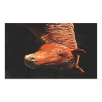 Red Horse II Gifts Rectangular Sticker