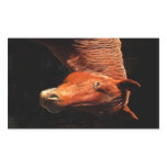 Red Horse II Gifts Rectangular Sticker