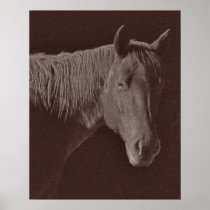Red Horse posters
