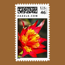 Red Hot Bromeliad stamps