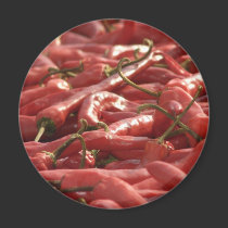 Red hot Chili magnet magnets