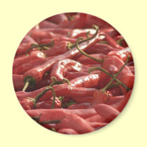 Red hot Chili magnet