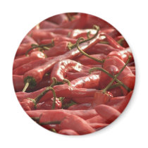 Red hot Chili magnet by Rainmountain Red hot Chili magnet