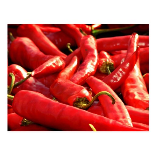 Red hot Chili Post Card