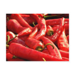 Red hot Chili Post Card