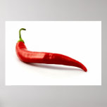 Red Hot Chilli Pepper Poster