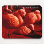 Red Hot Flamingos mousepads