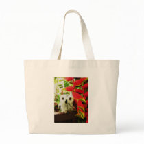 Red Hot Heliconias bags