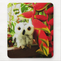 Red Hot Heliconias mousepads