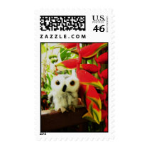 Red Hot Heliconias postage