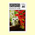 Red Hot Heliconias postage