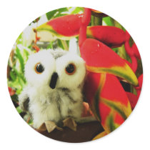 Red Hot Heliconias stickers