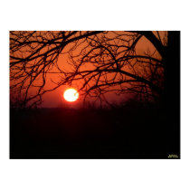 Red Hot Sunset Poster posters