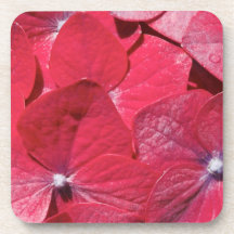 Red hydrangea beverage coasters