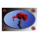 Red Ibis poster posters by Emazevedo Red Ibis poster posters