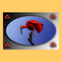 Red Ibis poster posters