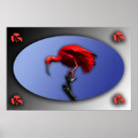 Red Ibis poster