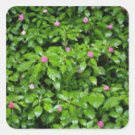Red Impatient flowers, El Yunque Rainforest, Puert Stickers