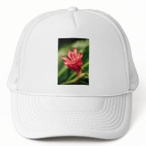 red in the garden hats by blacqbook red in the garden hats