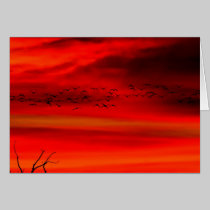 Red in the Morning cards