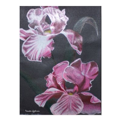 Red Iris Poster by CrookedRiverArt