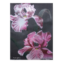 Red Iris Poster posters