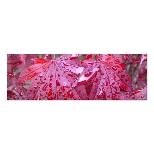 Red Japanese Maple Leaves Bookmark Business Card