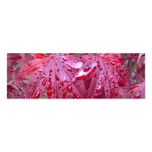 Red Japanese Maple Leaves Bookmark Business Card (back side)