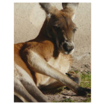 red kangaroo letterhead