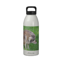 Red Kangaroo Reusable Water Bottle